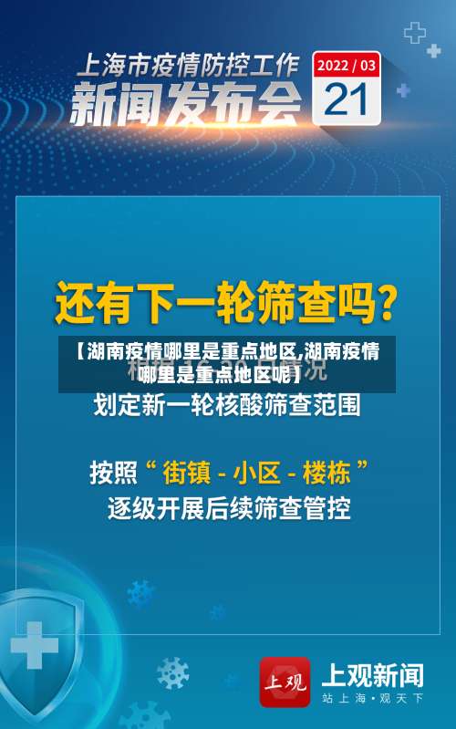 【湖南疫情哪里是重点地区,湖南疫情哪里是重点地区呢】-第2张图片