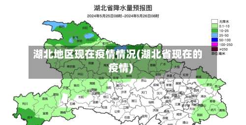 湖北地区现在疫情情况(湖北省现在的疫情)-第2张图片
