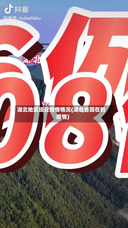 湖北地区现在疫情情况(湖北省现在的疫情)-第1张图片