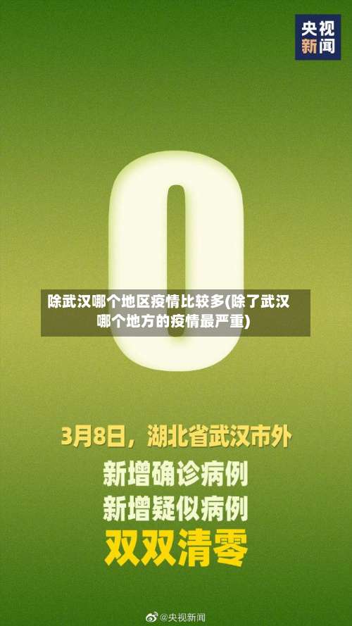 除武汉哪个地区疫情比较多(除了武汉哪个地方的疫情最严重)-第2张图片