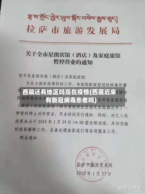 西藏还有地区吗现在疫情(西藏近来有新冠病毒患者吗)-第2张图片