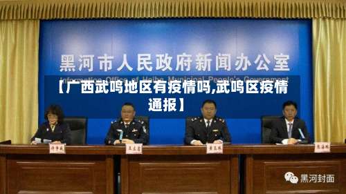 【广西武鸣地区有疫情吗,武鸣区疫情通报】-第3张图片