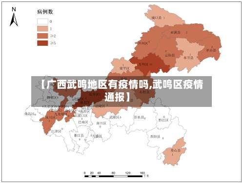 【广西武鸣地区有疫情吗,武鸣区疫情通报】-第2张图片