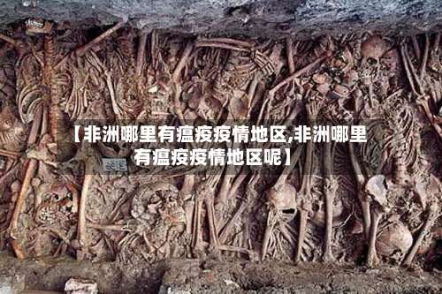 【非洲哪里有瘟疫疫情地区,非洲哪里有瘟疫疫情地区呢】-第1张图片