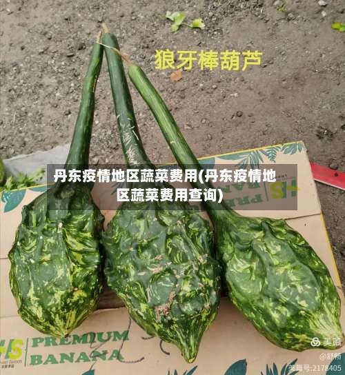 丹东疫情地区蔬菜费用(丹东疫情地区蔬菜费用查询)-第1张图片