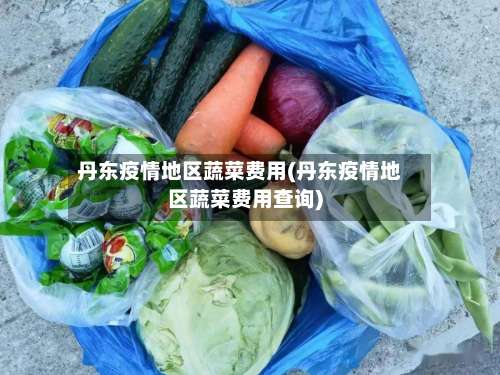 丹东疫情地区蔬菜费用(丹东疫情地区蔬菜费用查询)-第2张图片