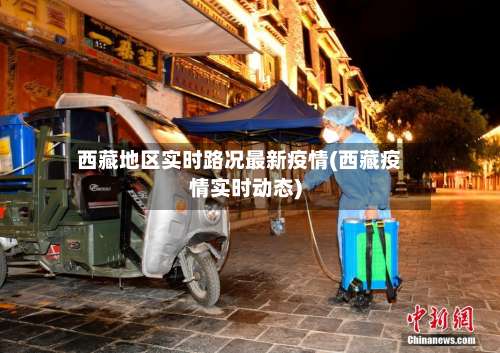 西藏地区实时路况最新疫情(西藏疫情实时动态)-第3张图片