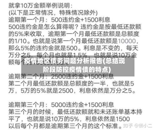 疫情地区债务问题分析报告(总结现阶段防控疫情债的特点)-第2张图片