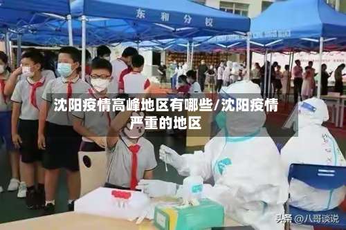 沈阳疫情高峰地区有哪些/沈阳疫情严重的地区-第2张图片