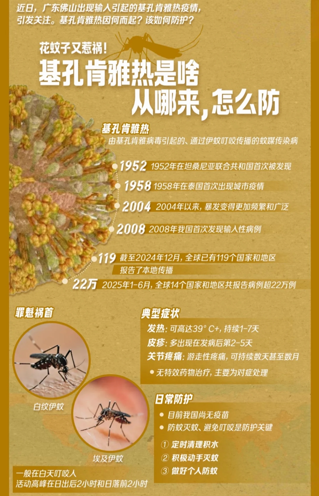 确诊人数︰(确诊人数中国最新)-第3张图片