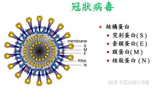 “美国新型冠状病毒最新消息	” 美国新型冠状最新情况？-第3张图片