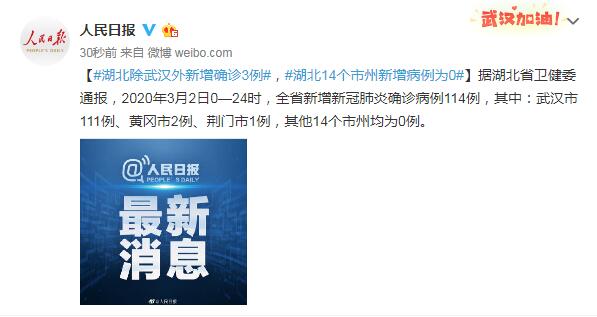 【武汉确诊最新消息/武汉确诊病例最新】-第3张图片